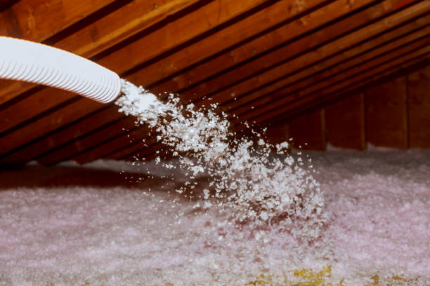 Best Spray Foam Insulation in Elmwood, LA