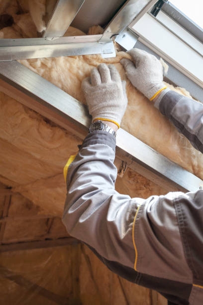 Types of Insulation We Offer in Elmwood, LA