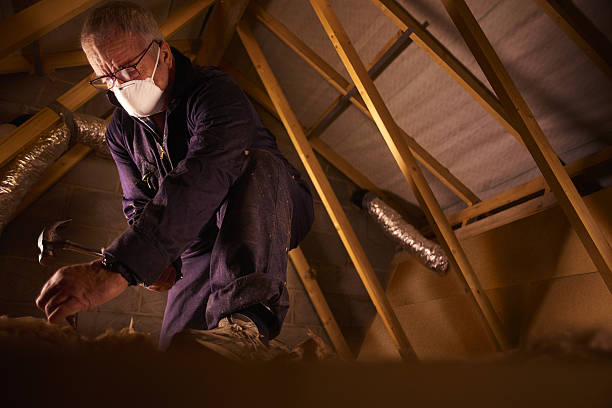 Best Specialized Insulation Services in Elmwood, LA