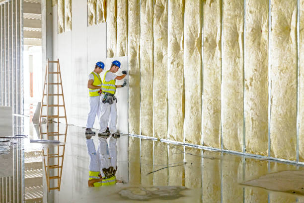 Professional Insulation Contractor in Elmwood, LA